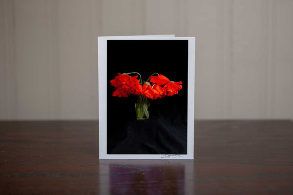 A beautiful photo greeting card of poppies in a vase  photo by Laura Cook of Vision Photography