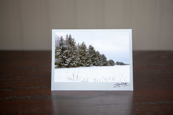 Photo greeting card featuring 'Frosted Pines' a photo of snowy pine trees making it the perfect winter scene for a holiday Christmas card Photo by Cambridge Ontario Photographer Laura Cook of Vision Photography