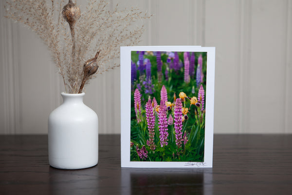 photo greeting card of pink lupines in the garden with some yellow irises in the background. The 4x6 photo is mounted to white card stock and signed by the artist Laura Cook in the bottom right corner. 