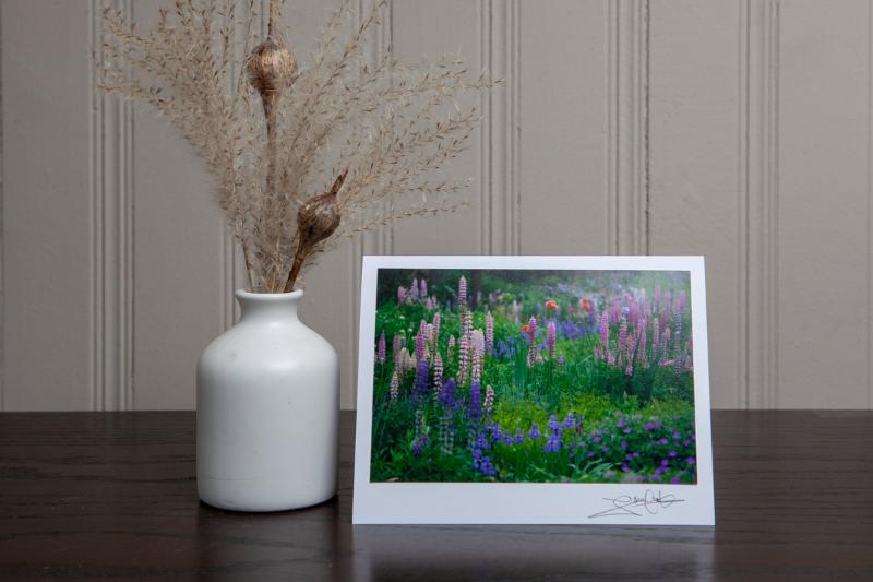 photo greeting card of lupines in the garden. The 4x6 photo is mounted to white card stock and signed by the artist Laura Cook in the bottom right corner.
