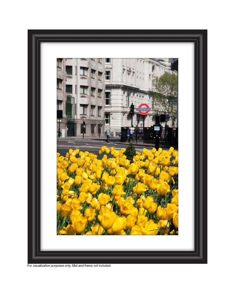 add to your art collection with theses colourful, inspiring photography prints by Laura Cook