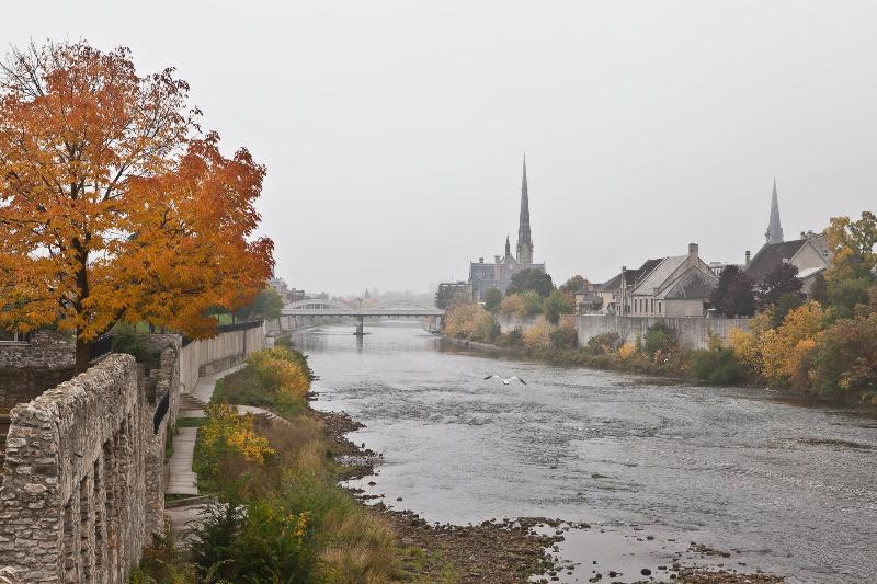 "A Grand View' a photograph by Cambridge photographer Laura Cook of Millrace Park in the fall , looking up the Grand River towar Main Street Bridge and Central Prespbyterian, a seagul is flying up the middle on a foggy day