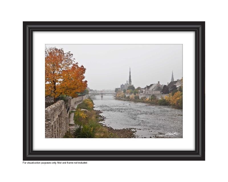 "A Grand View' a photograph by Cambridge photographer Laura Cook of Millrace Park in the fall , looking up the Grand River towar Main Street Bridge and Central Prespbyterian, a seagul is flying up the middle on a foggy day