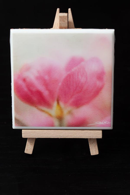 art mini for your home or office decor