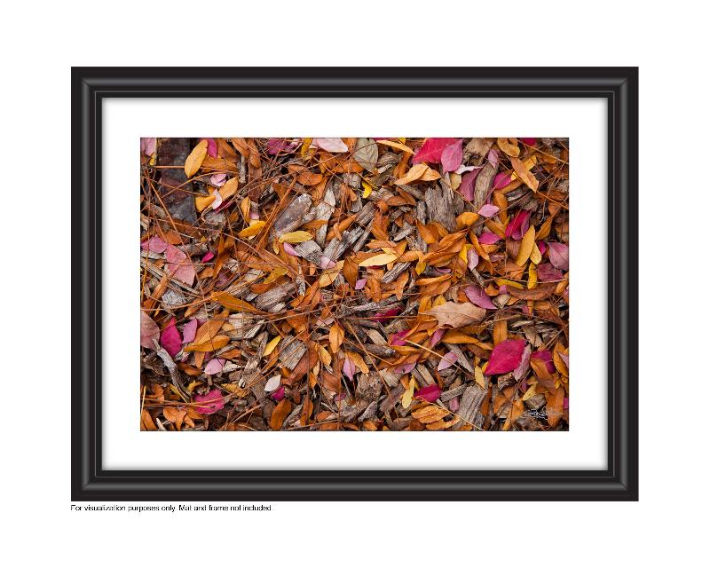 Photograph of yellow and pink Fall leaves on the ground Photo by Cambridge Ontario Photographer Laura Cook of Vision Photography