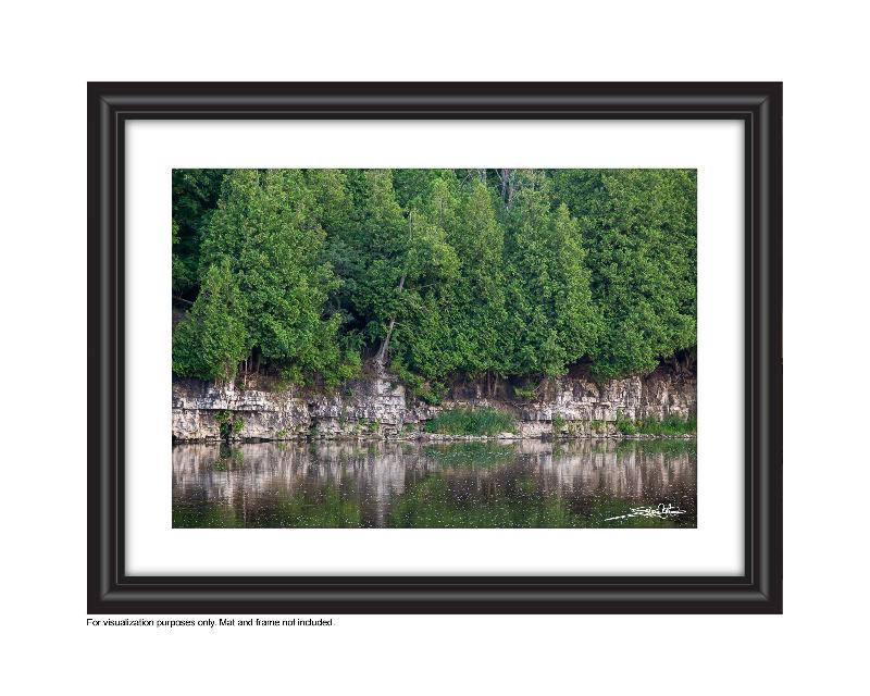 view of escarpment along the grand river view of Preston's linear trail photograph by cambridge ontario photographer laura cook
