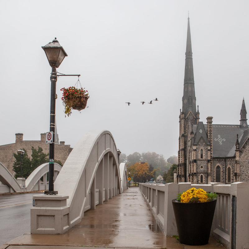Foggy Fly By - Photography Print