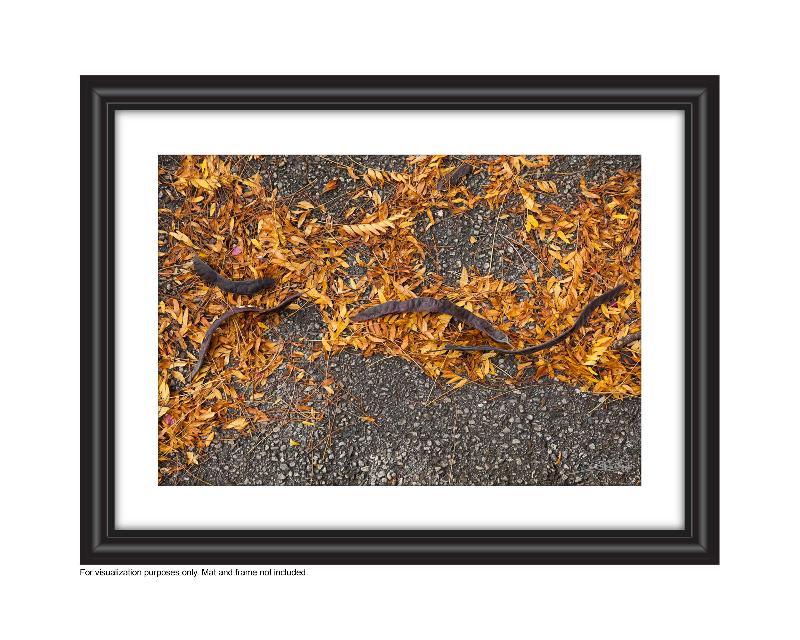 Photograph of yellow leaves and catalpa beans on the ground in the fall Photo by Cambridge Ontario Photographer Laura Cook of Vision Photography