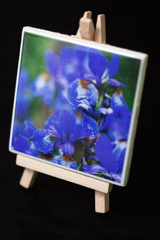 art mini for your home or office decor