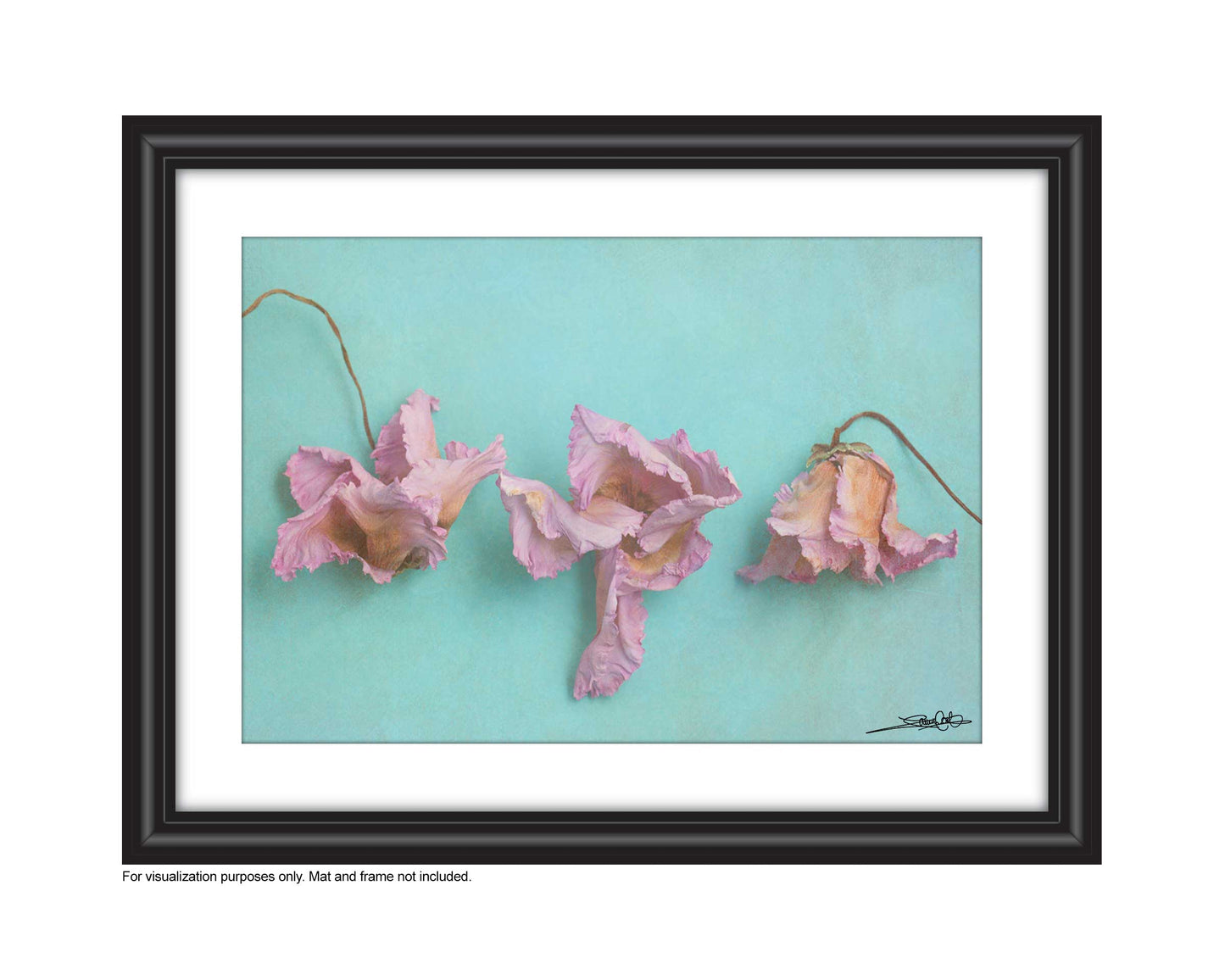 Affordable Art for your space by Laura Cook