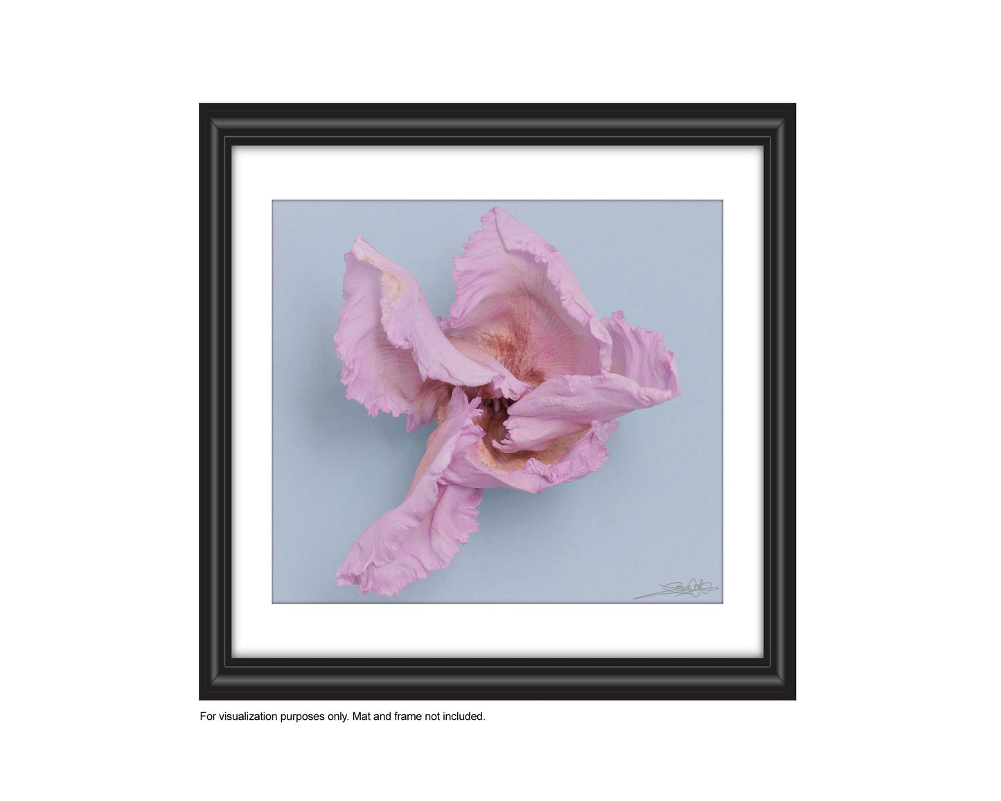 add to your art collection with theses colourful, inspiring photography prints by Laura Cook