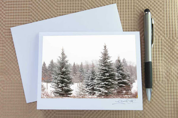 Christmas card pack of wintery scenes by Laura Cook / Vision Photography features a photo of 3 snow covered evergreen trees 