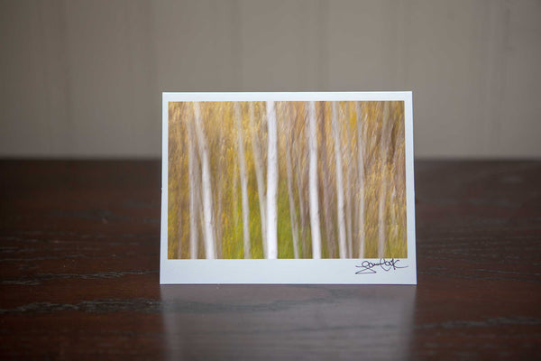 Photo Greeting card featuring 'Tranquil Trees' an abstract impressionism photograph of white birches in the vibrant fall forest Photo by Cambridge Ontario Photographer Laura Cook of Vision Photography