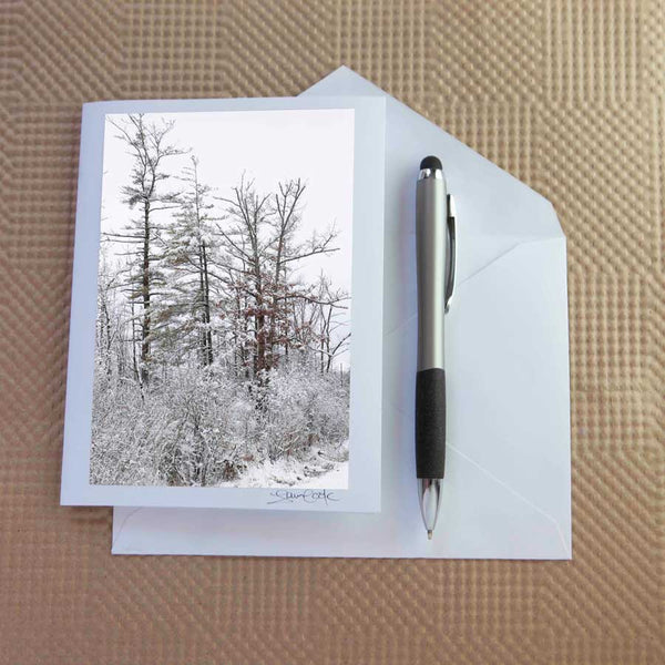 Christmas card pack of wintery scenes by Laura Cook / Vision Photography features a photo of snow covered trees