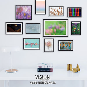 Consider the joys of creating a gallery wall to enjoy everyday. Vision Photography helps you get started.