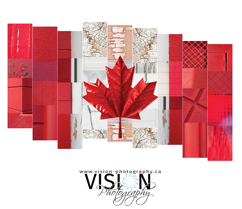 Let's Adventure Together: Discover How This Patriotic Work of a Canadian Icon Was Created