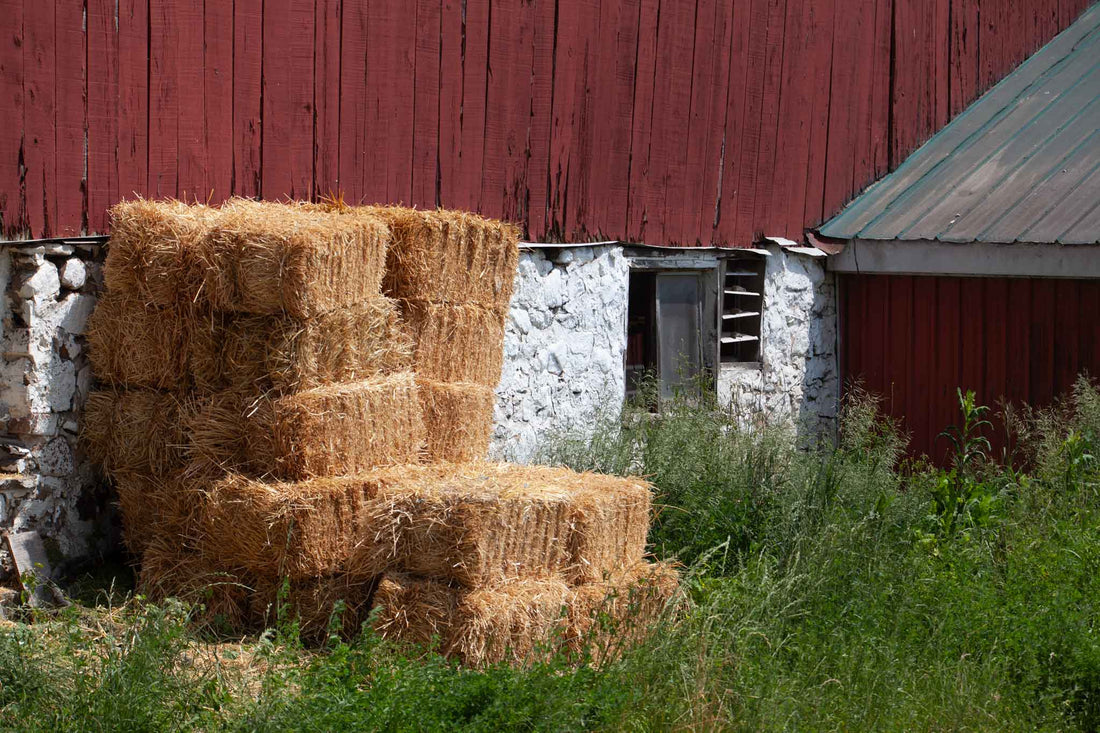 Celebrating the Rustic Charm of 2025’s Farm Structures - Part 2 of 4