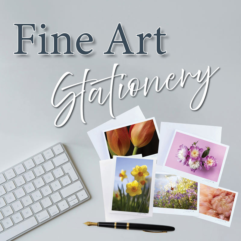 A flat lay workspace scene featuring a collection of Vision Photography fine art stationery, including floral note cards with tulip, daffodil, and dahlia photography, arranged neatly beside a fountain pen and computer keyboard