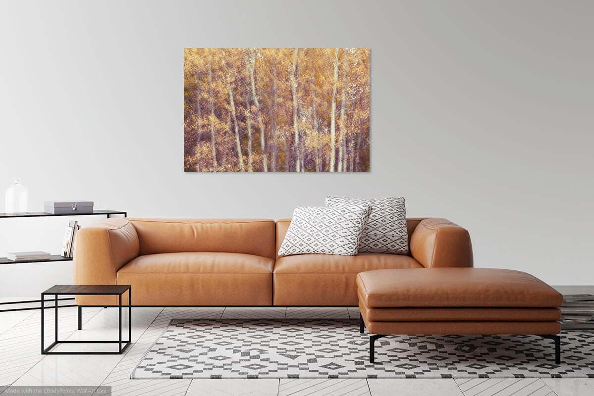 Fall Beauty - Photography Prints
