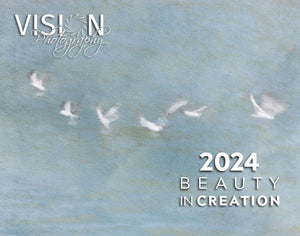 cover of the 2024 beauty in creation calendar