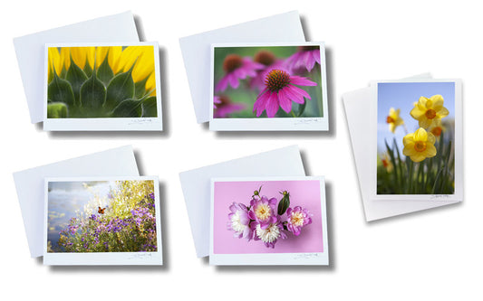 A curated 5-pack set of botanical fine art note cards by photographic artist Vision Photography, featuring vibrant floral photography perfect for client thank-you notes.