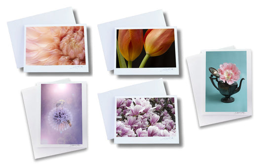 Curated fine art floral greeting card collection featuring dreamy botanical prints by Vision Photography, ideal for thoughtful gifts and client thank-you notes.