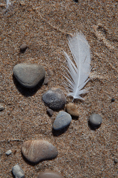 feather on the sandy beach with rocks surrounding it