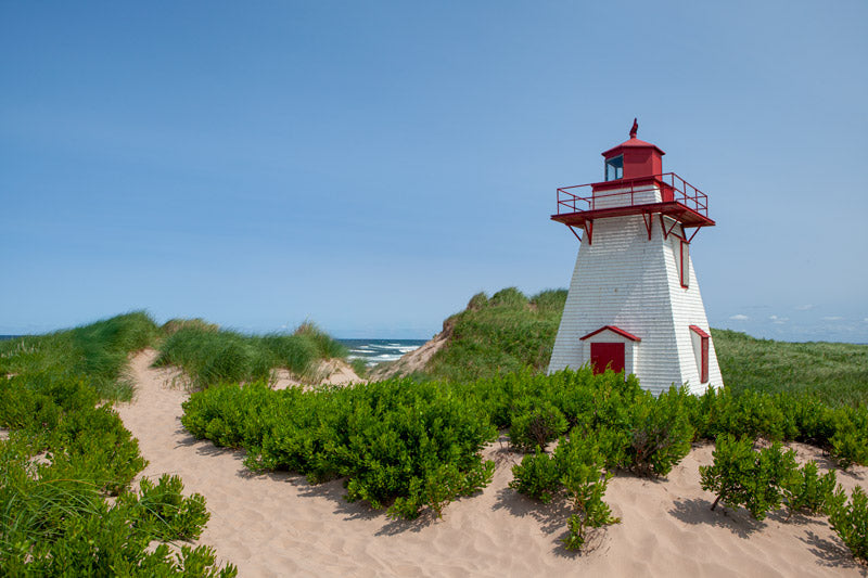 A horizontal framed photograph of the white and red St. Peter’s Harbour Lighthouse on PEI, surrounded by green beach grass and a sandy path under a blue sky.