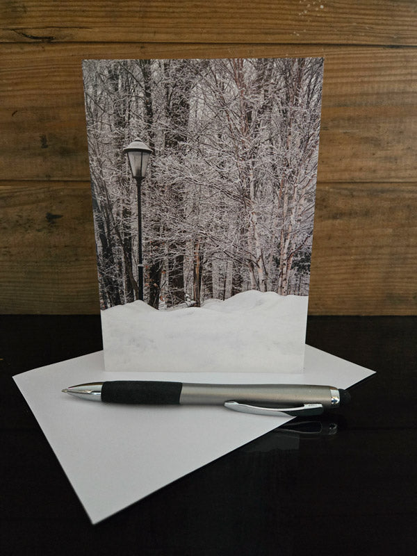 Christmas greeting card of winter scene 'Narnia' created by laura cook of vision photography 