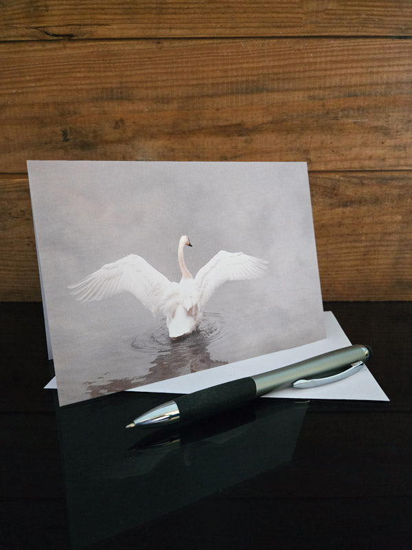 Christmas greeting card of trumpeter swan winter scene 'Wings of Majesty' created by laura cook of vision photography 