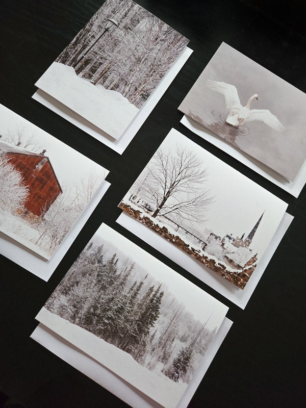Set of winter-themed christmas greeting cards with snowy landscapes on a dark surface created by Laura Cook of Vision photography