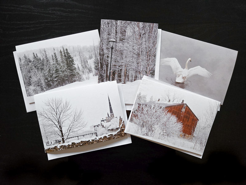 Set of winter-themed christmas greeting cards with snowy landscapes and a swan in support of the Three Rivers YMCA as part of 'Cards for a Cause' program
