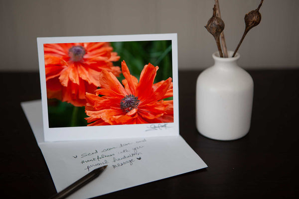 Photo greeting card featuring close up photo of a solitary poppy growing in the field