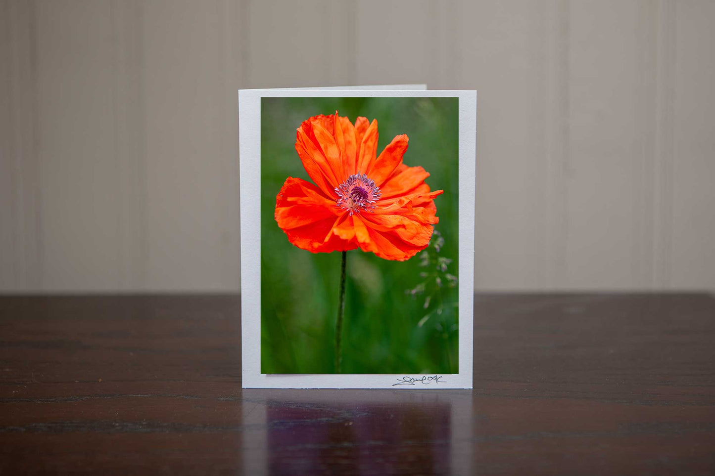 Beautiful photo greeting card featuring a photo of a poppy growing in the wild photo by Laura Cook of Vision Photography