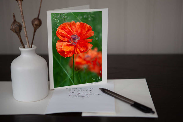 Beautiful photo greeting card featuring a photo of a poppy growing in the wild photo by Laura Cook of Vision Photography
