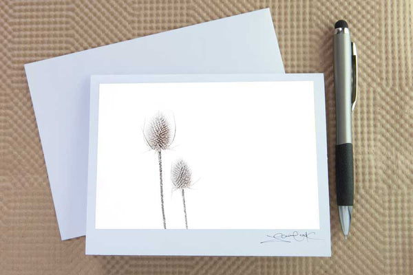 NEW!  Pick & Mix Christmas Cards