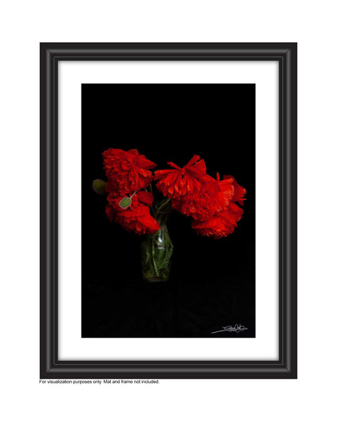 Framed , A dramatic photo of poppies in a vase photo by Laura Cook, Vision Photography