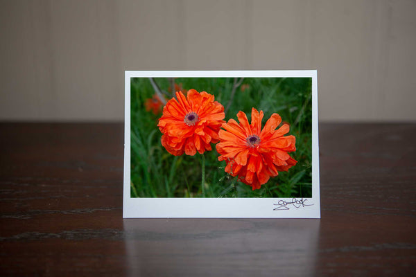 photo greeting card featuring a close up photo of 2 poppies gowing wild in a filed. Photo by Laura Cook of Vision Photography