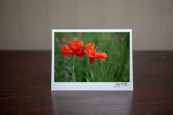 photo greeting cad of 2 poppies growing in  the field. It has a whimsical vibe to it. Photo by Laur aCook of VIsion Photography