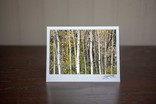 greeting card featuring photo of aspen tress in fall forest Photo by Cambridge Ontario Photographer Laura Cook of Vision Photography