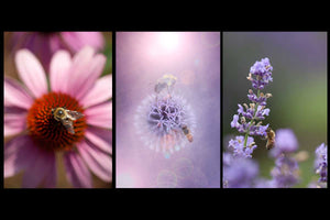 3 assorted bee images on cards by laura cook perfect for bee lovers
