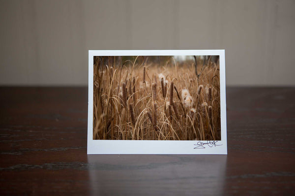 Photography Greeting card featuring "Bullrushes" a close up view of bullrushes in the fall Photo by Cambridge Ontario Photographer Laura Cook of Vision Photography