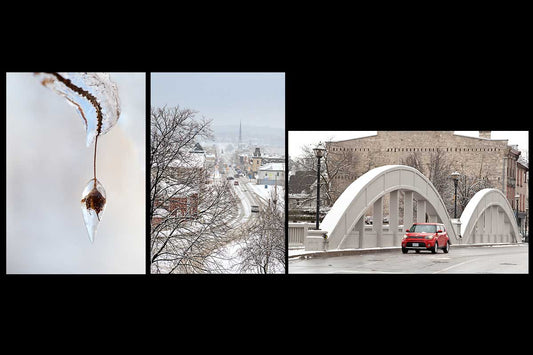 Winter photographs in a set of handmade photo greeting cards for Christmas featuring three beautiful photographs of frozen nature form the ice storm, a view of main street Cambridge  on a snowy's winter day and a view of main street bridge with a red Kia diving over it in on a wintery day  Photo by Cambridge Ontario Photographer Laura Cook of Vision Photography
