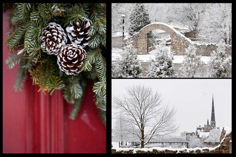 Greeting Card set featuring local Galt Cambridge scenes in the winter, Central Presbyterian, Millrace and Pinecones Photos by Cambridge Ontario Photographer Laura Cook of Vision Photography