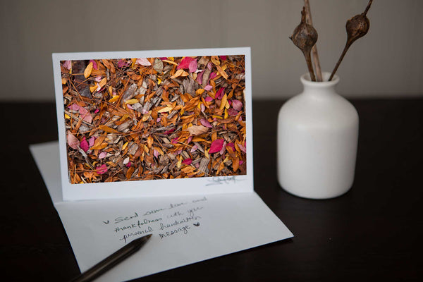 greeting card featuring photo of vibrant fall foilage Photo by Cambridge Ontario Photographer Laura Cook of Vision Photography