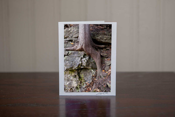 Photo greeting card featuring 'Dig Deep' a photograph of a cedar trun and roots digging into the rock Photo by Cambridge Ontario Photographer Laura Cook of Vision Photography