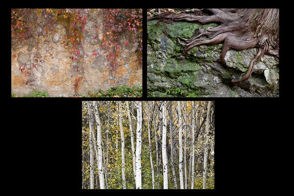 Greeting card pack featuring autumn images Photo by Cambridge Ontario Photographer Laura Cook of Vision Photography