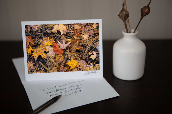 Photo greeting card featuring 'Fall Floor' a photo of the fall leaves on the ground mixed in with pine needles a wonderful  visual fall tapestry Photo by Cambridge Ontario Photographer Laura Cook of Vision Photography