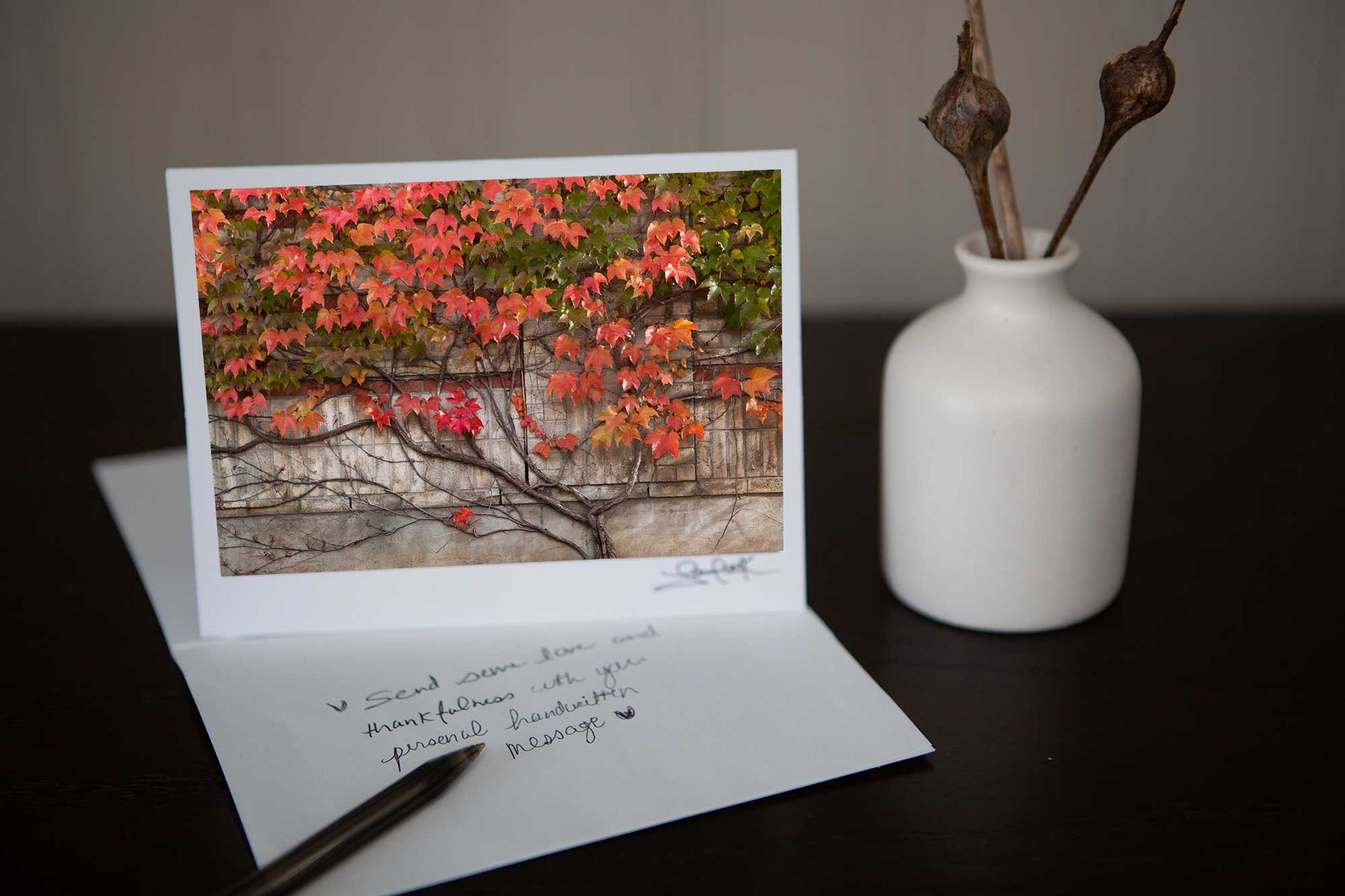 Photographs of rich red vines in the fall  growing on a wall Photo by Cambridge Ontario Photographer Laura Cook of Vision Photography 