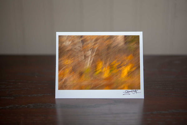 Photo greeting card featuring 'Fiery Fall' an abstract photograph showcasing white birch and vibrant orange and yellow fall leaves in the photo impressionist style